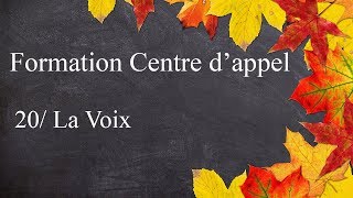 Formation Centre dAppel  20  La voix [upl. by Lowrance247]