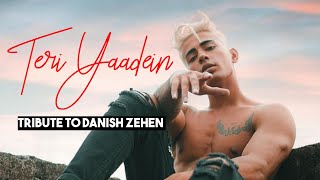 Teri Yaadein  Danish Zehen Official Video MTVIndiaa TRIBUTE SONG 2024 [upl. by Nnanaej266]