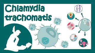 Chlamydia trachomatis  Chlamydial infection  Sexually transmitted disease  Treatment of Chlamydia [upl. by Hymen]