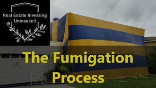 How Does Fumigation Work The Whole Process As I Saw It [upl. by Loos]