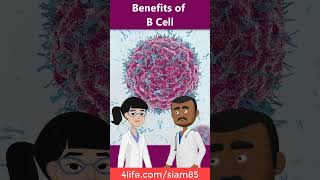 The benefits of B Cell 4life immune 4lifetransferfactor healthproduct [upl. by Rumney]