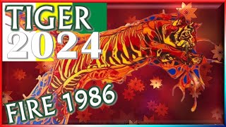 ✪ Tiger Horoscope 2024 ➤ Fire Tiger 1986  February 9 1986 to January 28 1987 [upl. by Isma]