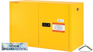 VEVOR Flammable Storage Cabinet 30 Gal 431x181x501 inch ColdRolled Steel Flammable Review [upl. by Anaela742]