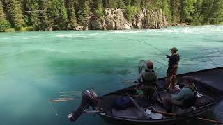 Upper Kenai River Fishing [upl. by Hamal]