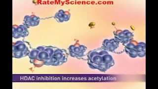 Histone acetylation and cancer Rate My Science [upl. by Odrick]