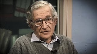 Noam Chomsky  The Function of Language [upl. by Noloc]