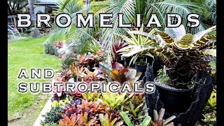 AN INSPIRATIONAL BROMELIAD AND SUBTROPICAL GARDEN [upl. by Eixid]