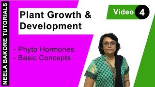 Plant Growth amp Development  NEET  Phyto Hormones  Basic Concepts  Neela Bakore Tutorials [upl. by Lina96]