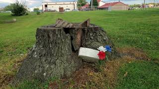 Lost cemetery found in 1980s Bucco Cemetery in Madison County Indiana [upl. by Itnahs]