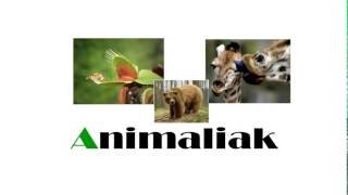 Animaliak [upl. by Eniamreg]