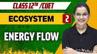 Ecosystem 02  Energy Flow  Class 12thCUET [upl. by Imogen]