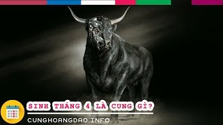 Sinh tháng 4 là cung hoàng đạo gì  Cunghoangdaoinfo [upl. by Zima]