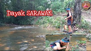 Dayak SARAWAK Malaysia  Nginti ikan sungai menua ulu [upl. by Duj]