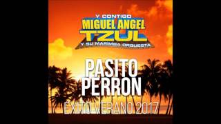 pasito perron [upl. by Anawek]