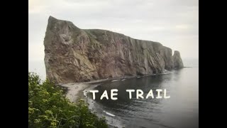 TAE TRAIL  with Nada Lou [upl. by Olumor746]