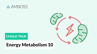 Energy Metabolism  Part 10 Gluconeogenesis Reactions with molecular structures [upl. by Cooley]