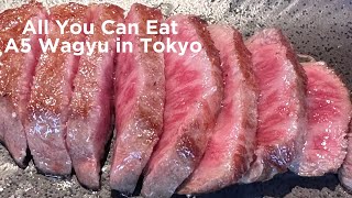 AllYouCan Eat A5 Wagyu in Ginza SteakTokyo [upl. by Miller]