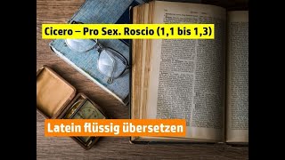 Latein flüssig übersetzen  Cicero Pro Sexto Roscio 11 bis 13 [upl. by Gisser]