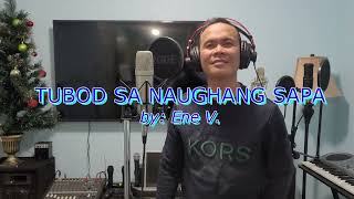 Tubod Sa Naughang Sapa Cover  Male Version with Lyrics [upl. by Deutsch]