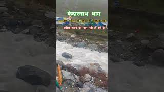 Kedarnath short।। todayupdate sorts youtubeshort kedarnathyatra [upl. by Lleumas]