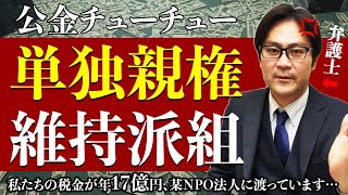 【共同親権】公金チューチュー単独親権維持派組 [upl. by Annavoig515]