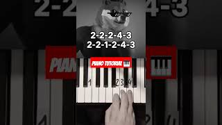 Gigachad Phonk Piano Tutorial 🎹pianotutorial piano gigachadshorts [upl. by Nohcim]