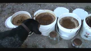 Completion of making Fish Oil Part 2 [upl. by Landers]