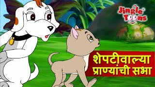 Sheptiwalya Pranyanchi Sabha  Sasa To Sasa ससा आणि कासव JingleToons Marathi Balgeet [upl. by Kcinomod903]