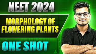 MORPHOLOGY OF FLOWERING PLANT in 1 Shot FULL CHAPTER COVERAGE TheoryPYQs  Prachand NEET [upl. by Aitital]