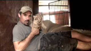 Kevin Richardson a very special Lioness amp her Cubs [upl. by Graubert]