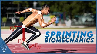 How sprinters use biomechanics to push the limits of the human body [upl. by Bathilda]