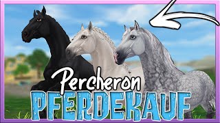 Wir KAUFEN das neue PERCHERON 🐴💙 Star Stable Pferdekauf SSO [upl. by Ettennal]