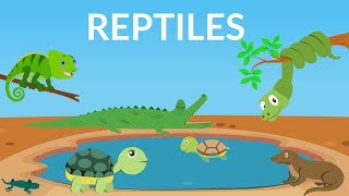 Learn about Reptiles  Reptiles Video for Kids [upl. by Lalaj]