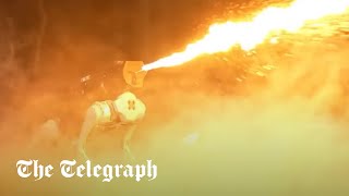 Flamethrowing robot dog goes on sale in US [upl. by Sacram]