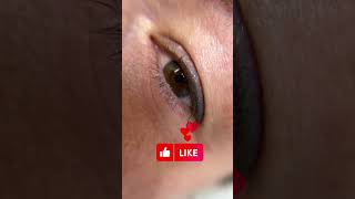 Healed Eyeliner tattoo Natural look [upl. by Sherar]