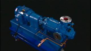 NASH Liquid Ring Vacuum Pump  How It Works [upl. by Lennad551]