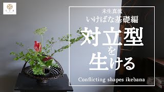 【いけばな基礎編】対立型を生けるー未生真流ーConflicting shapes Ikebana [upl. by Aleck]