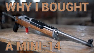 Why I Bought a Ruger Mini14 Ranch Rifle [upl. by Hersch468]