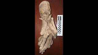 The Elongated Skulls Of Paracas Peru And Their DNA Update June 2019 [upl. by Austin]