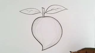 how to draw mango drawing easy step by stepDrawingTalent [upl. by Kerekes]