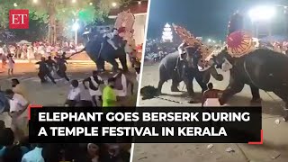 Elephant goes berserk during festival at Tharakkal temple in Thrissur leaves several injured [upl. by Valerlan2]