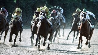 1991 Belmont Stakes  Hansel [upl. by Kermie]