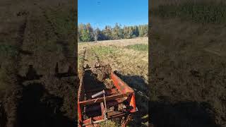 Perhaps the wobbliest clip of the year Spreading fertilizer on bumpy field IH844 and Tive 20T [upl. by Amihc319]