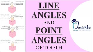 Line angles and Point angles of Teeth  Dental Anatomy [upl. by Zerline]