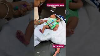 2day baby hypoglycemia iv cannula insert 🥹🥹shortvideo newborn hypoglycemia cannula shorts [upl. by Tosch167]