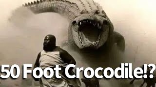 50 Foot Crocodile Seen in the Congo [upl. by Nnaylloh523]