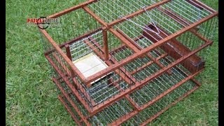 Trampera Multicaptura Sistema Molino quotSpiritquot  Multi Catch Bird Trap [upl. by Annaehs]