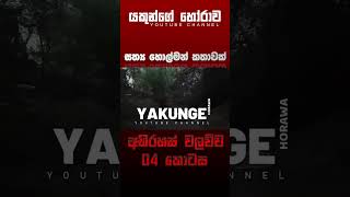 අභිරහස් වලව්ව 04 කොටස  sinhala holman katha sinhalaholmankatha horrortok viral foryou [upl. by Yecies126]