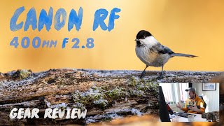 Canon RF 400mm F28 lens review with samples  Gear Review [upl. by Jori]