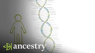 How Accurate are my AncestryDNA Results  Ancestry [upl. by Ettenna]